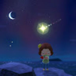 Meet your Posher, Xiaoyu